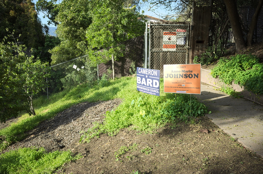 Two neighborhood council candidate signs