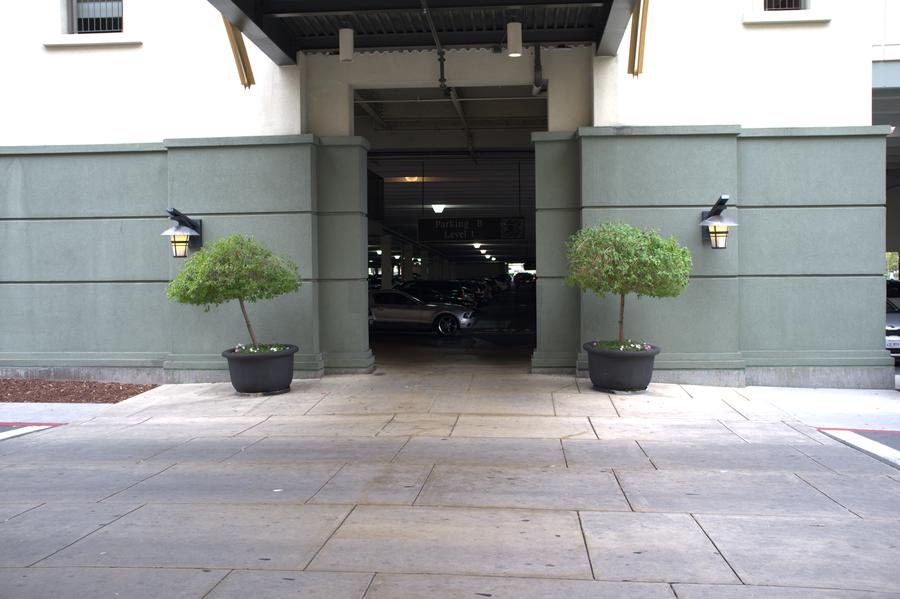 Two trees at the entrance to a parking garage