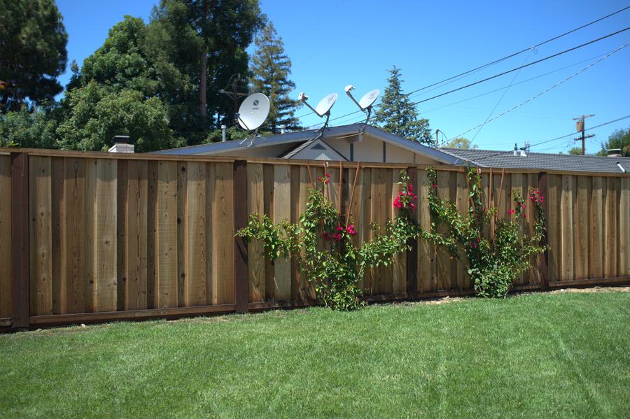 View of a house with three satelitte dishes from a neighboring yard