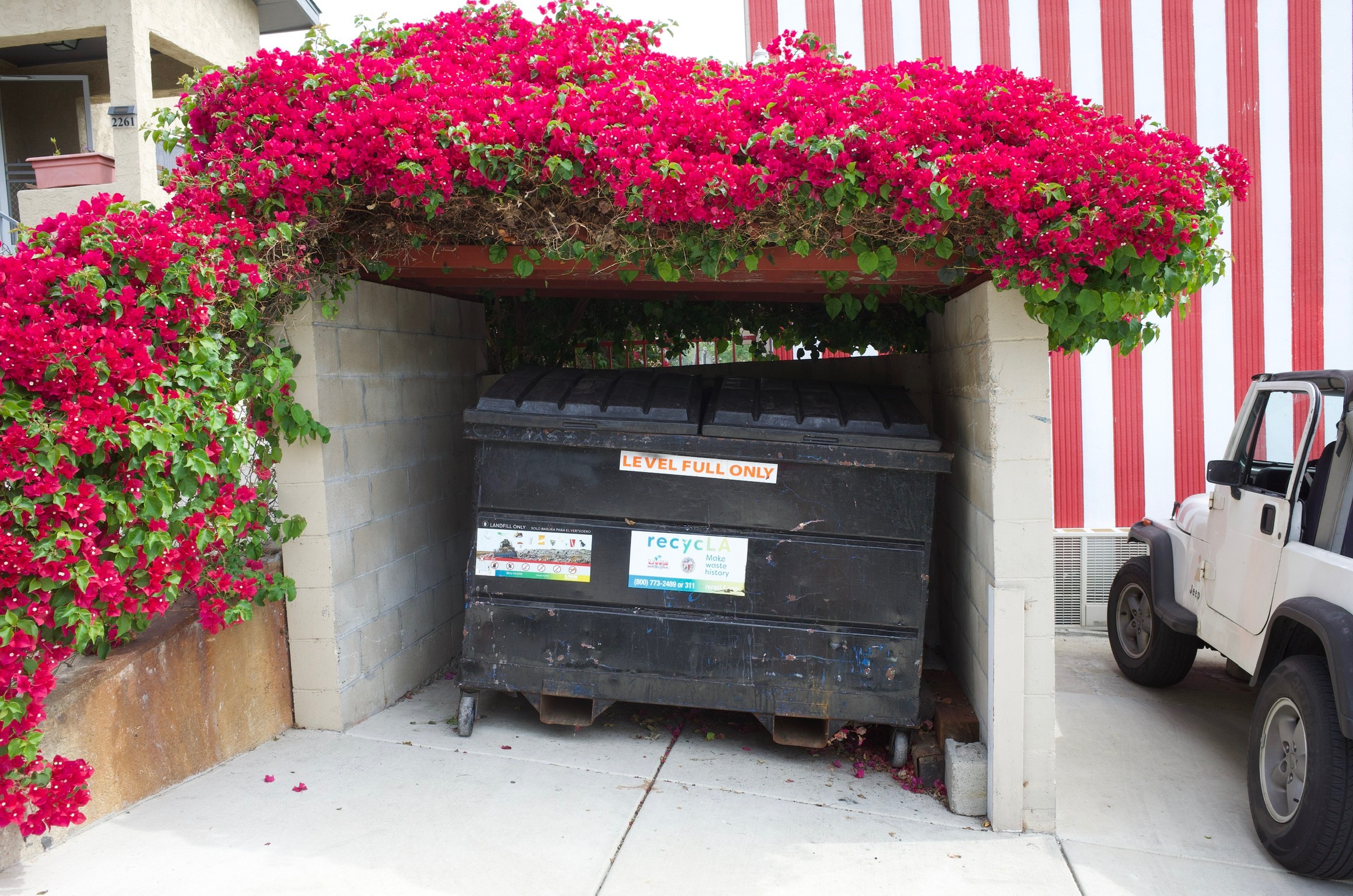 Dumpster with flowers
